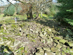 Trwyn farmhouse, Nant Gwyddon Valley, Abercarn, November 2011